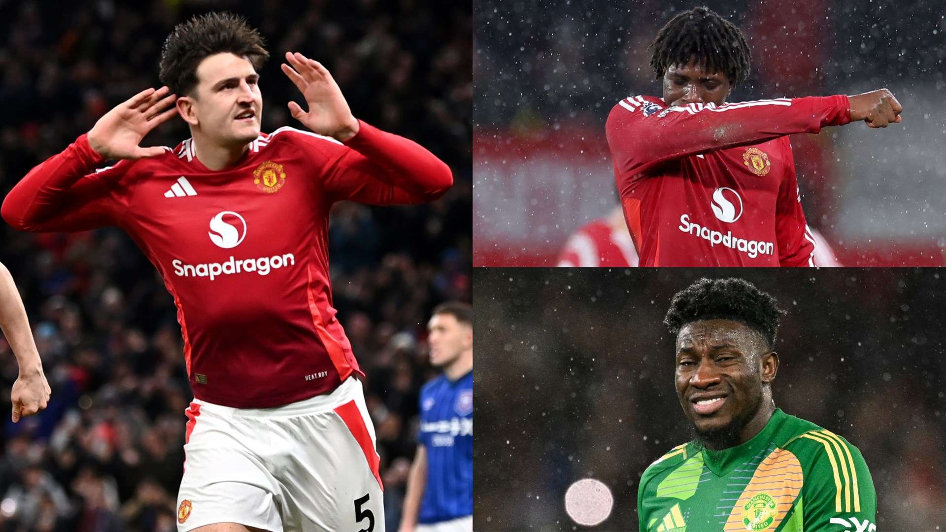 了这一点 了这一点